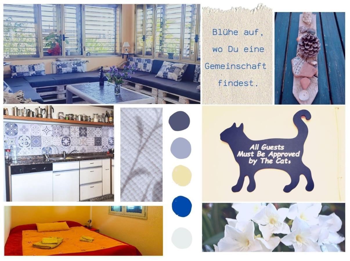 Eco Hostel Vela Vega Butera Zewnętrze zdjęcie