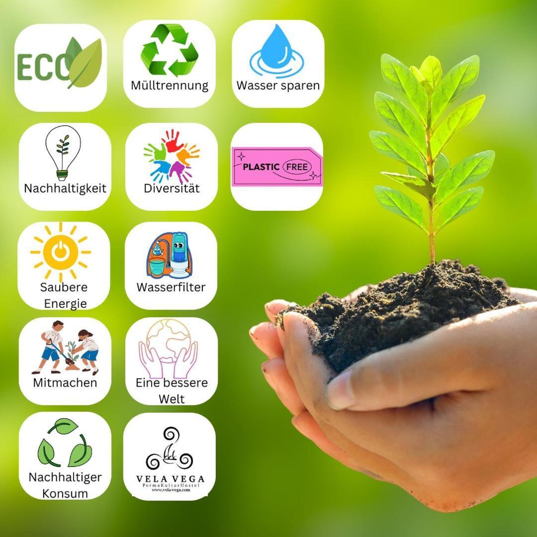 Eco Hostel Vela Vega Butera Zewnętrze zdjęcie